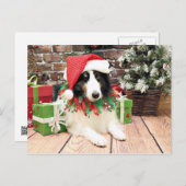 Kerstmis - Sheltie - Bandiet Feestdagenkaart (Voorkant / Achterkant)