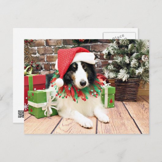 Kerstmis - Sheltie - Bandiet Feestdagenkaart (Voorkant / Achterkant)