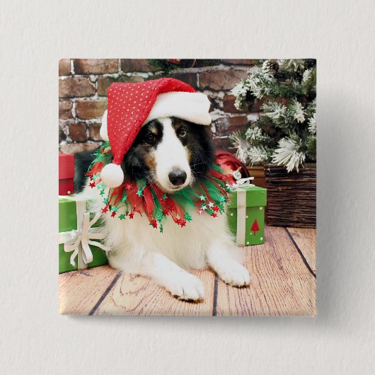 Kerstmis - Sheltie - Bandit Vierkante Button 5,1 Cm (Voorkant)