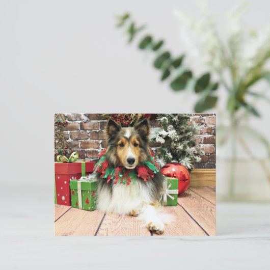 Kerstmis - Sheltie - Hertogin Feestdagenkaart (Staand voorkant)