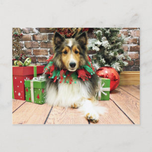 Kerstmis - Sheltie - Hertogin Feestdagenkaart