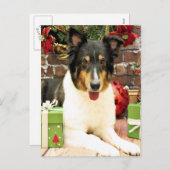 Kerstmis - Sheltie - Lacey Feestdagenkaart (Voorkant / Achterkant)