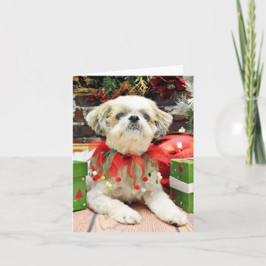 Kerstmis - Shih Tzu - Bailey Feestdagen Kaart (Voorkant)