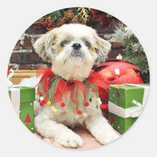 Kerstmis - Shih Tzu - Bailey Ronde Sticker
