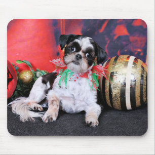 Kerstmis - Shih Tzu - Chin Ching Muismat