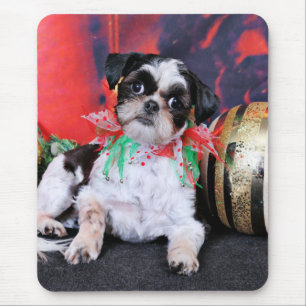 Kerstmis - Shih Tzu - Chin Ching Muismat