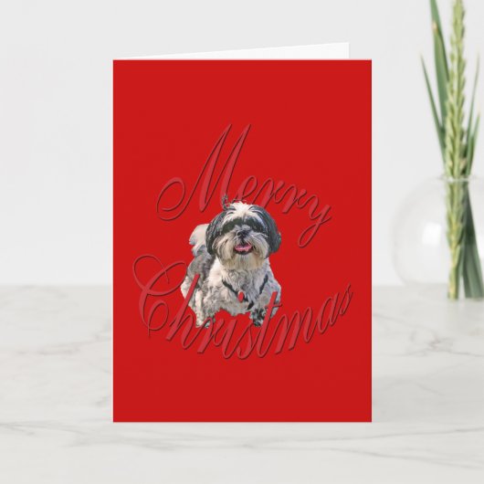Kerstmis Shih Tzu Feestdagen Kaart (Voorkant)