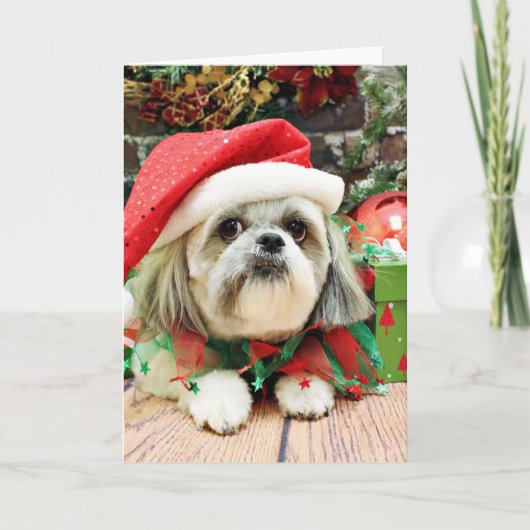 Kerstmis - Shih Tzu - Gizmo Feestdagen Kaart (Voorkant)