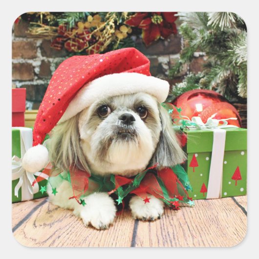 Kerstmis - Shih Tzu - Gizmo Vierkante Sticker (Voorkant)