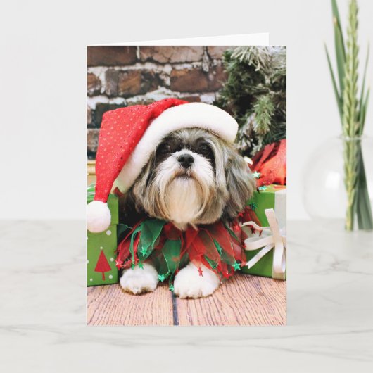 Kerstmis - Shih Tzu - Vince Feestdagen Kaart (Voorkant)