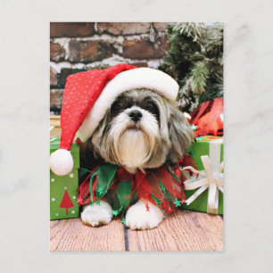 Kerstmis - Shih Tzu - Vince Feestdagenkaart