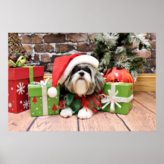 Kerstmis - Shih Tzu - Vince Poster (Voorkant)