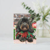 Kerstmis - Shih Tzu X - Bella Feestdagenkaart (Staand voorkant)