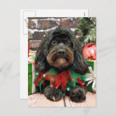 Kerstmis - Shih Tzu X - Bella Feestdagenkaart (Voorkant / Achterkant)