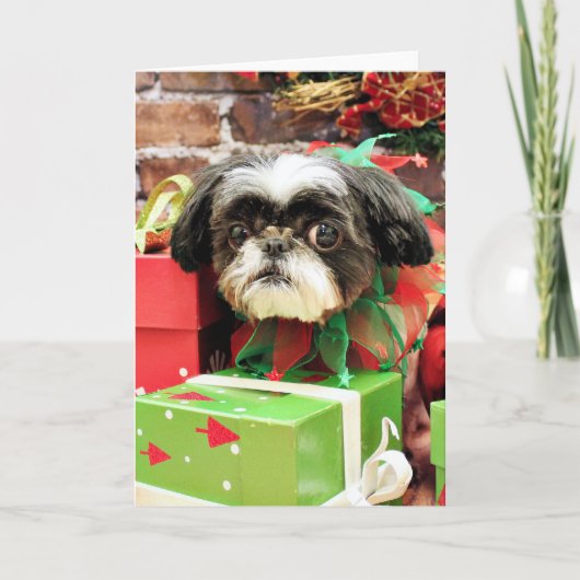 Kerstmis - Shih Tzu - Yogi Feestdagen Kaart (Voorkant)
