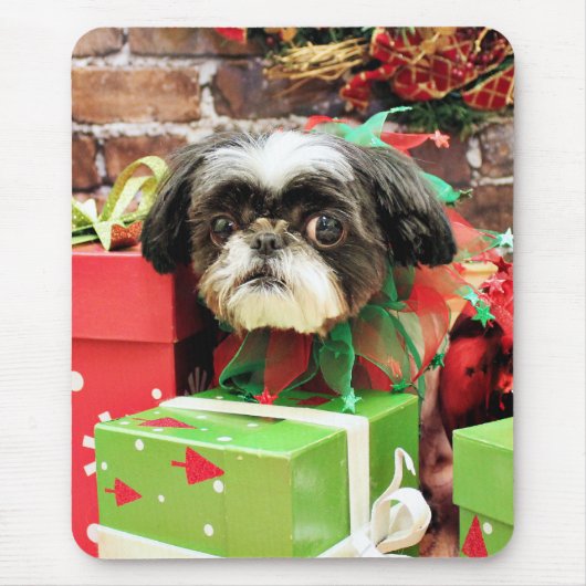 Kerstmis - Shih Tzu - Yogi Muismat (Voorkant)
