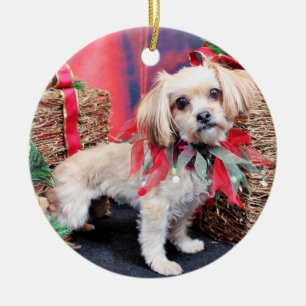 Kerstmis - Shorkie - Charlie Keramisch Ornament