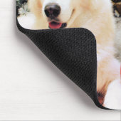 Kerstmis - Siberian Huskies - Bailey en Katya Muismat (Hoek)