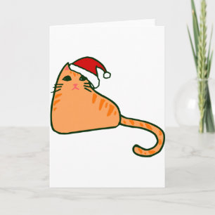 kerstmis sint-janskous hoed oranje tabby kat