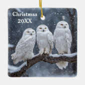 Kerstmis Sneeuwuilen Keramisch Ornament (Voorkant)