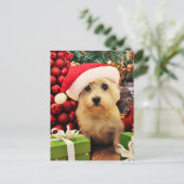 Kerstmis - Steenhoop Terrier - Roxy Feestdagenkaart (Staand voorkant)