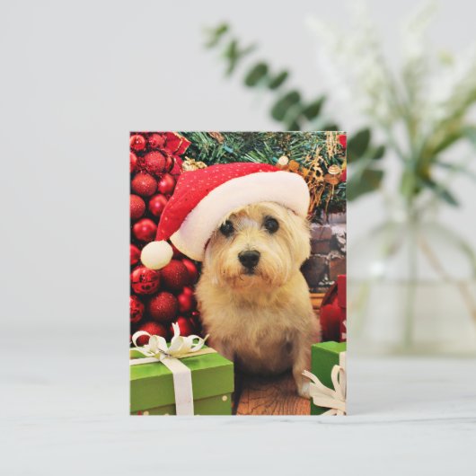 Kerstmis - Steenhoop Terrier - Roxy Feestdagenkaart (Staand voorkant)
