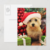 Kerstmis - Steenhoop Terrier - Roxy Feestdagenkaart (Voorkant / Achterkant)