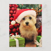 Kerstmis - Steenhoop Terrier - Roxy Feestdagenkaart (Voorkant)
