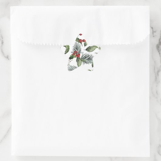 Kerstmis Ster Sticker (Tas)