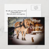 Kerstmis sterrenhemel boerderij met paard sneeuw feestdagenkaart (Voorkant / Achterkant)