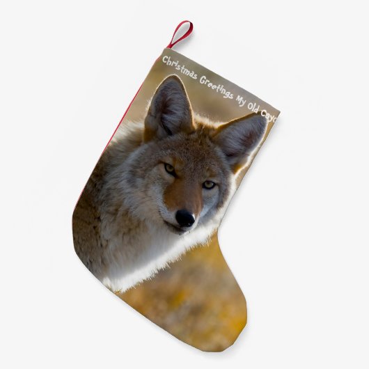 Kerstmis stoppen met mijn oude Coyote Kleine Kerstsok (Voorkant (Hangend))