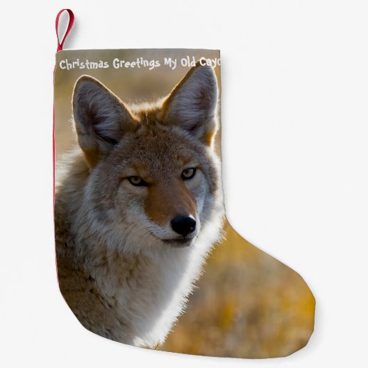 Kerstmis stoppen met mijn oude Coyote Kleine Kerstsok (Voorkant)