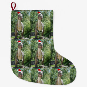 Kerstmis T-Rex Grote Kerstsok