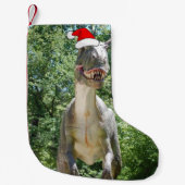 Kerstmis T-Rex Kleine Kerstsok (Voorkant)