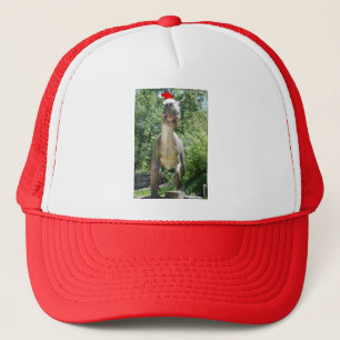 Kerstmis T-Rex Trucker Pet