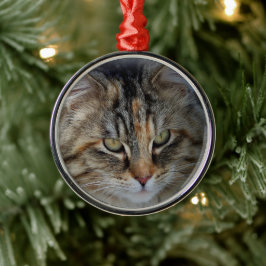Kerstmis Tabby Kat Portret Ornament