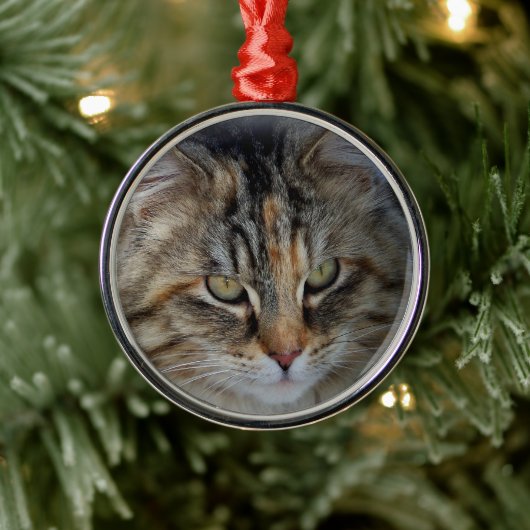 Kerstmis Tabby Kat Portret Ornament (Boom)