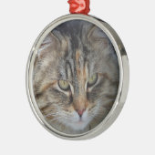 Kerstmis Tabby Kat Portret Ornament (Links)