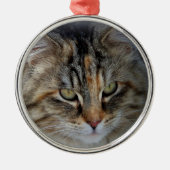 Kerstmis Tabby Kat Portret Ornament (Voorkant)