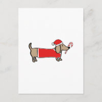 Kerstmis teckel