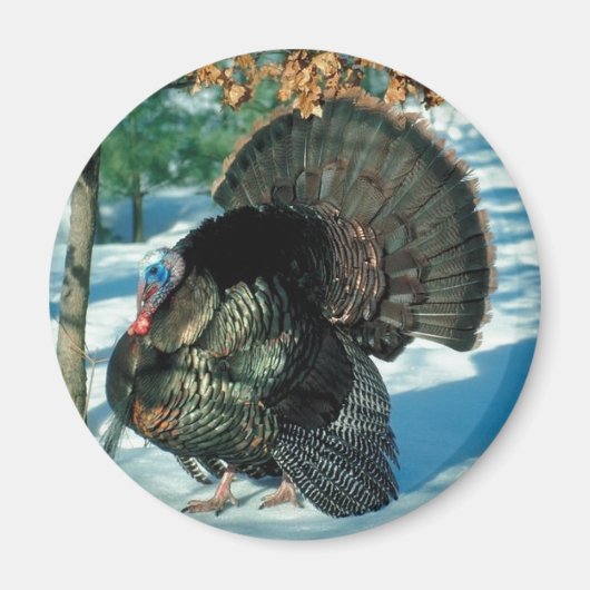 Kerstmis: Thanksgiving Vogelwinter Wild Magneet (Voorkant)