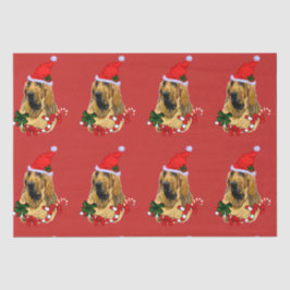 Kerstmis Tissuepapier