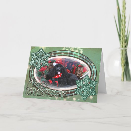 Kerstmis - Toby - Poodle Feestdagen Kaart (Voorkant)