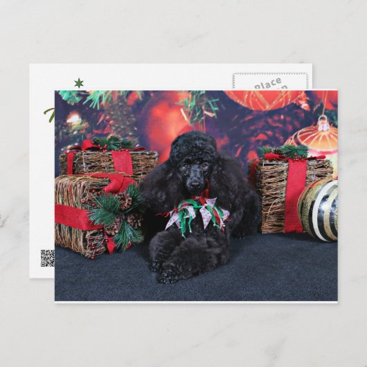 Kerstmis - Toby - Poodle Feestdagenkaart (Voorkant / Achterkant)