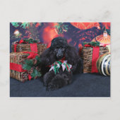 Kerstmis - Toby - Poodle Feestdagenkaart (Voorkant)