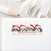 Kerstmis: Tzu-retournering Etiket (Insitu)