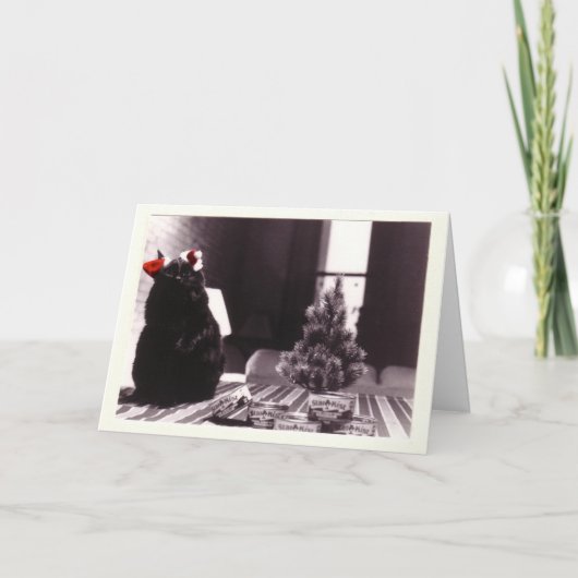 Kerstmis van Auggie Feestdagen Kaart (Voorkant)