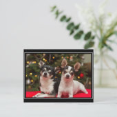 Kerstmis van Chihuahua Feestdagenkaart (Staand voorkant)