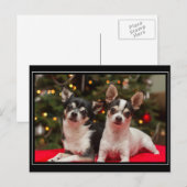 Kerstmis van Chihuahua Feestdagenkaart (Voorkant / Achterkant)
