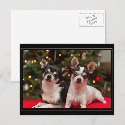 Kerstmis van Chihuahua Feestdagenkaart (Voorkant / Achterkant)